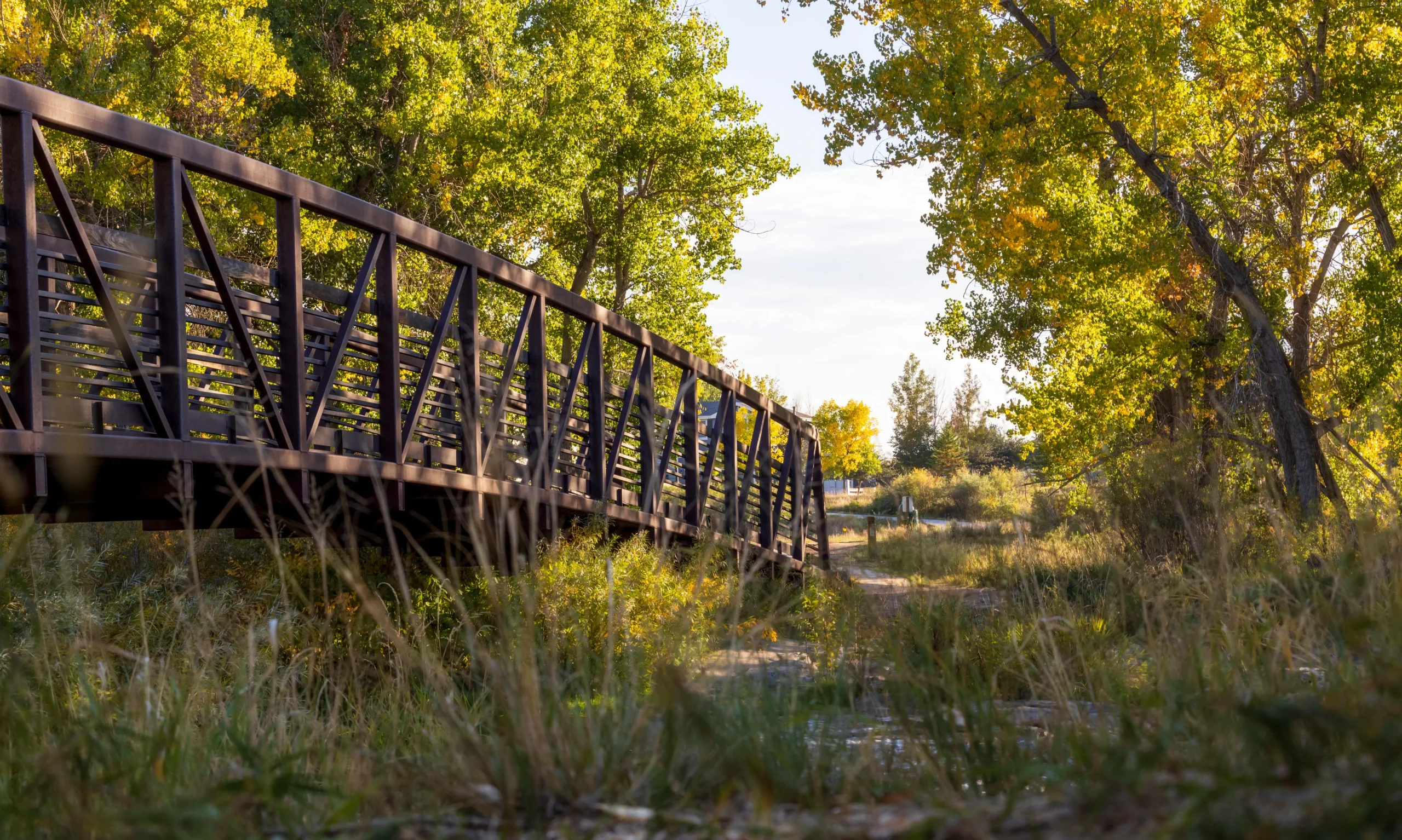 Bridge at wooded park in Centennial - IVitalize Mobile Hydration and Aesthetics